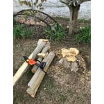 Image 5 of customer photos