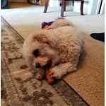 Image 3 of customer photos