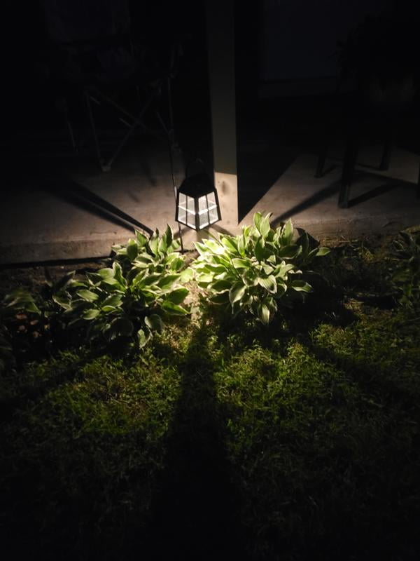 Deck Impressions Farmhouse Solar LED Shepherd's Hook Lanterns, 4
