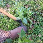 Image 2 of customer photos