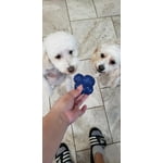 Image 4 of customer photos