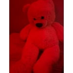 Image 7 of customer photos