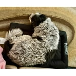 Image 7 of customer photos