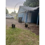 Image 4 of customer photos