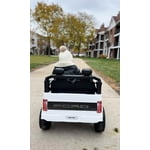 Image 4 of customer photos