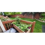 Image 1 of customer photos