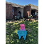 Image 6 of customer photos