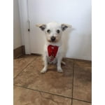 Image 5 of customer photos