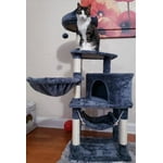 Image 7 of customer photos