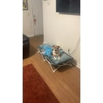 Image 6 of customer photos