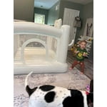 Image 1 of customer photos