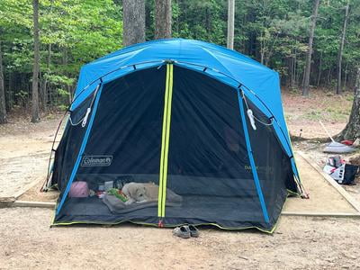 Coleman 6-Person Carlsbad Fast Pitch, Blackout Family Dome Tent