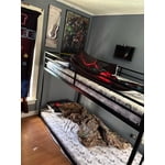 Image 2 of customer photos
