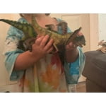 Image 5 of customer photos