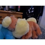 Image 6 of customer photos