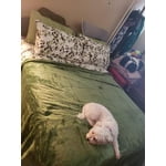 Image 1 of customer photos