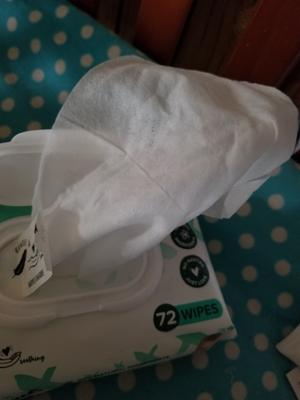 rascal and friends wipes