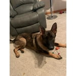 Image 7 of customer photos