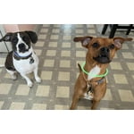 Image 5 of customer photos