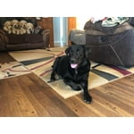 Image 6 of customer photos