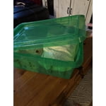 Image 1 of customer photos