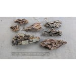 Hardscape Dragon Ohko Rock Aquarium Ohko Dragon Stone Rock Mixed Sizes