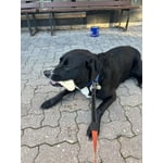 Image 1 des photos des clients