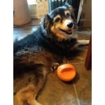 Image 3 of customer photos