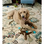 Image 1 of customer photos