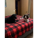 Image 1 of customer photos
