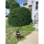 Image 2 of customer photos