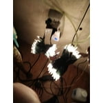 Image 1 of customer photos
