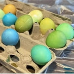 Image 6 of customer photos