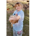 Image 4 of customer photos