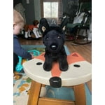 Image 2 of customer photos