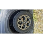 Image 4 of customer photos