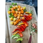 Image 7 of customer photos