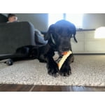 Image 6 of customer photos