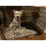 Image 5 of customer photos