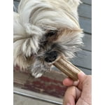 Image 6 of customer photos