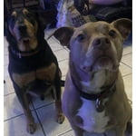 Image 3 of customer photos