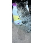 Image 5 of customer photos