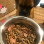 Image 6 of customer photos