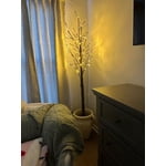 Image 1 of customer photos