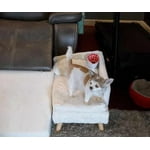 Image 7 of customer photos