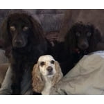 Image 1 of customer photos