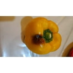 Imagen 3 de las fotos del cliente