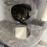 Image 6 of customer photos