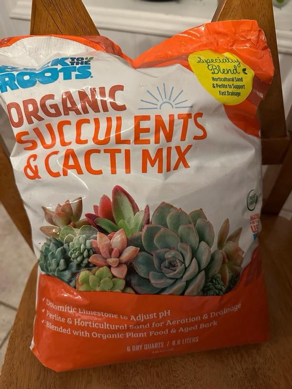 Back to the Roots, Succulents & Cacti Soil, 6qt, 2 pack - Walmart.com