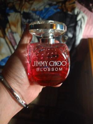 Jimmy Choo Blossom Ladies Eau De Parfum Spray 100mL - Walmart.ca